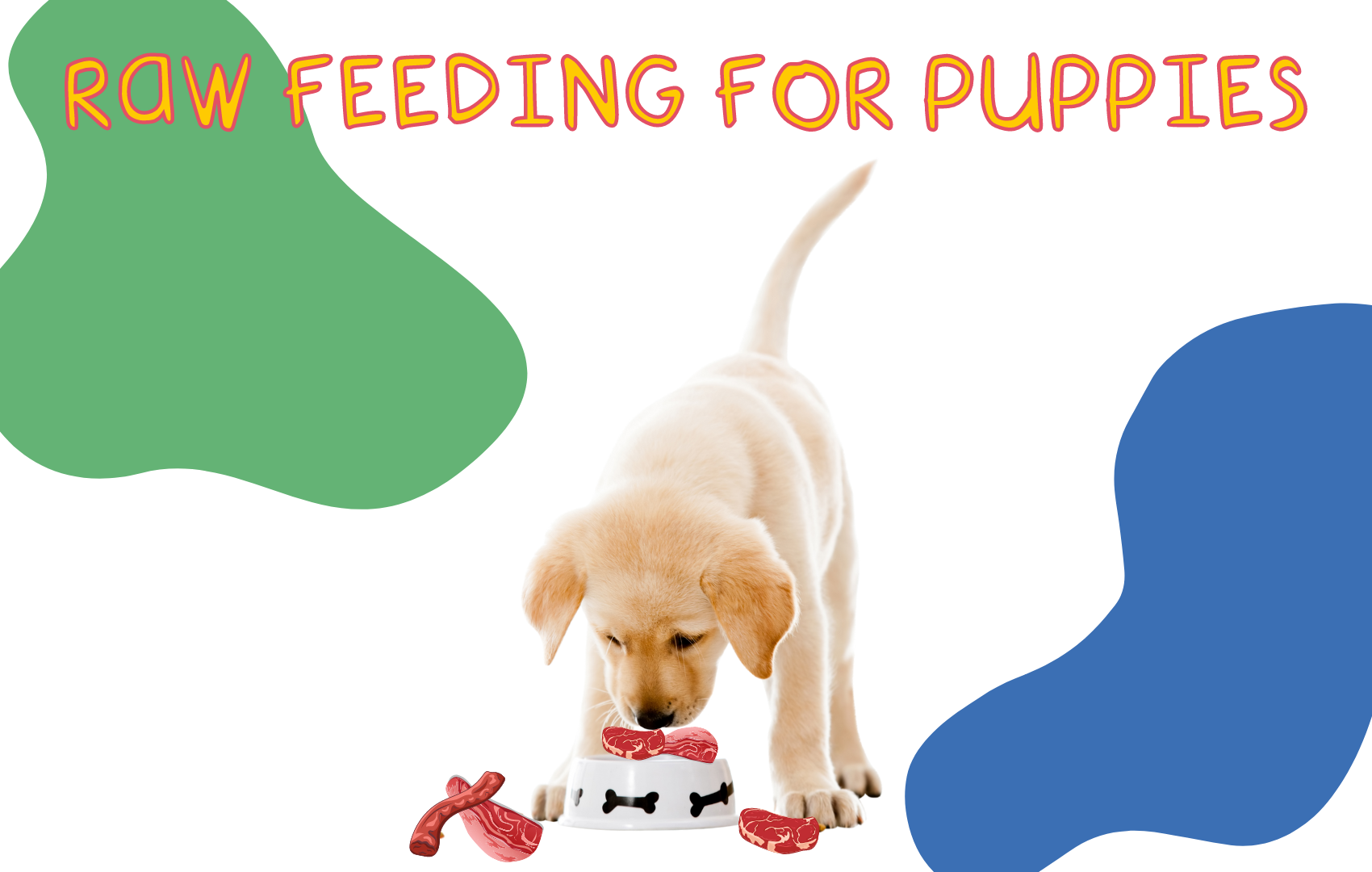 Can Puppies Eat Raw 