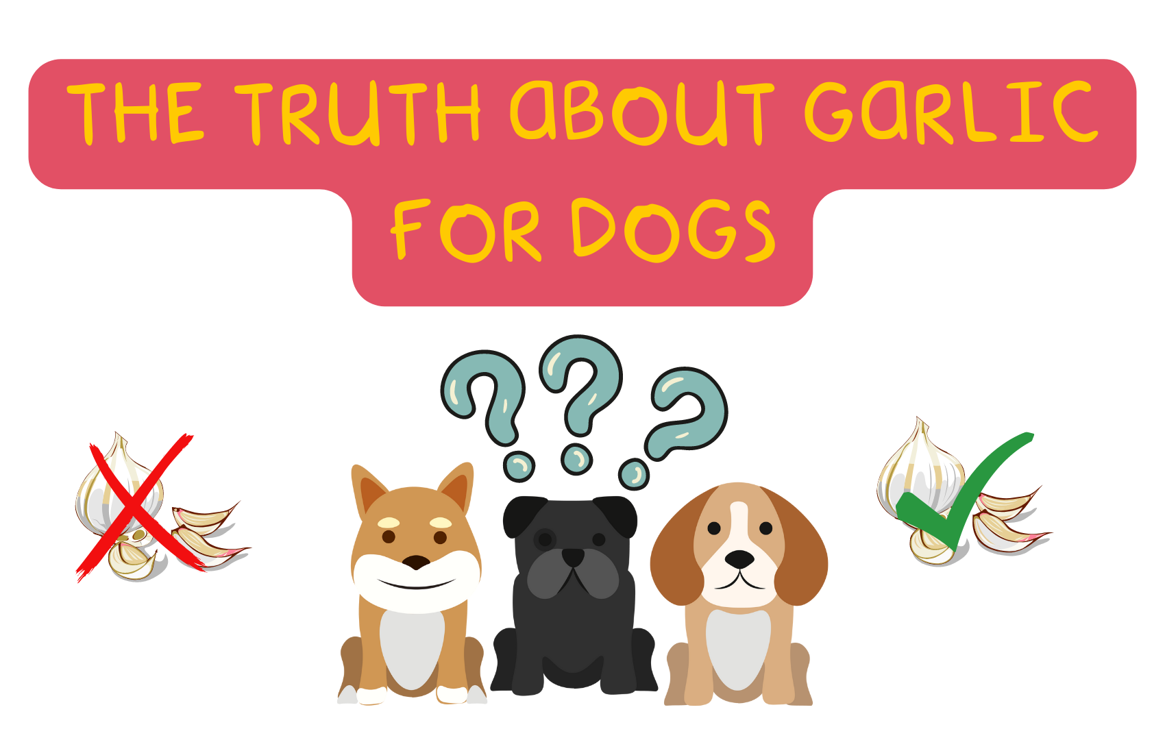 How Do You Feed Garlic To Dogs