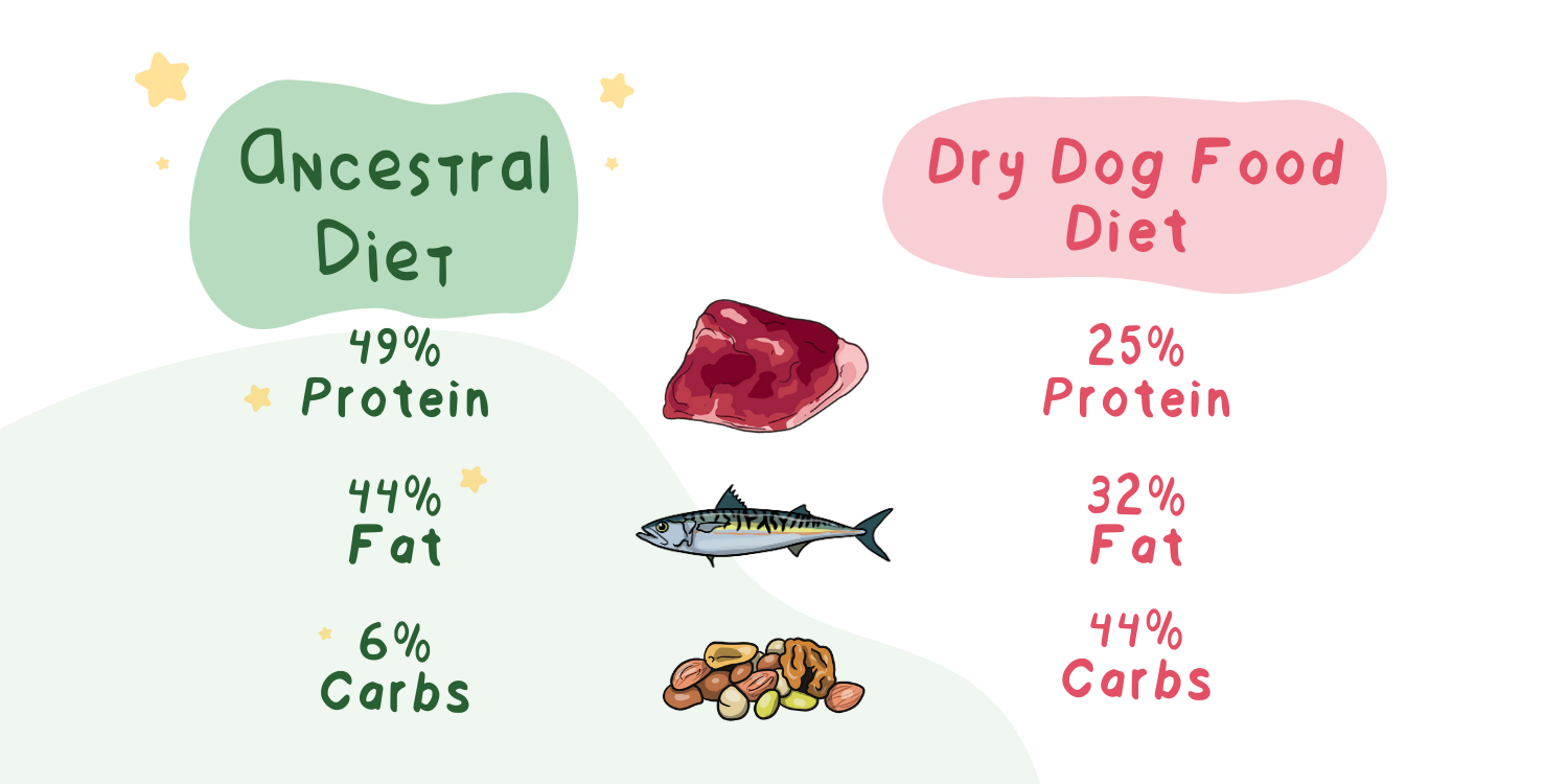 Ancestral diet for dogs hotsell