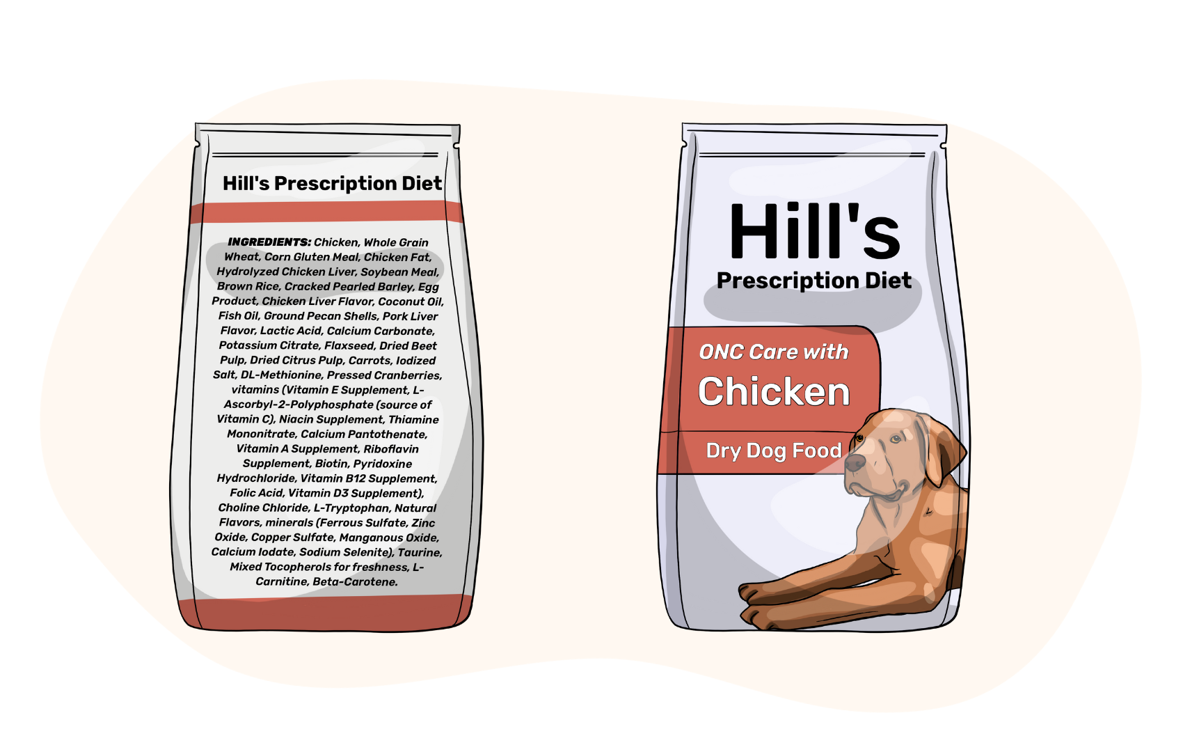What are Prescription Diets for Dogs?