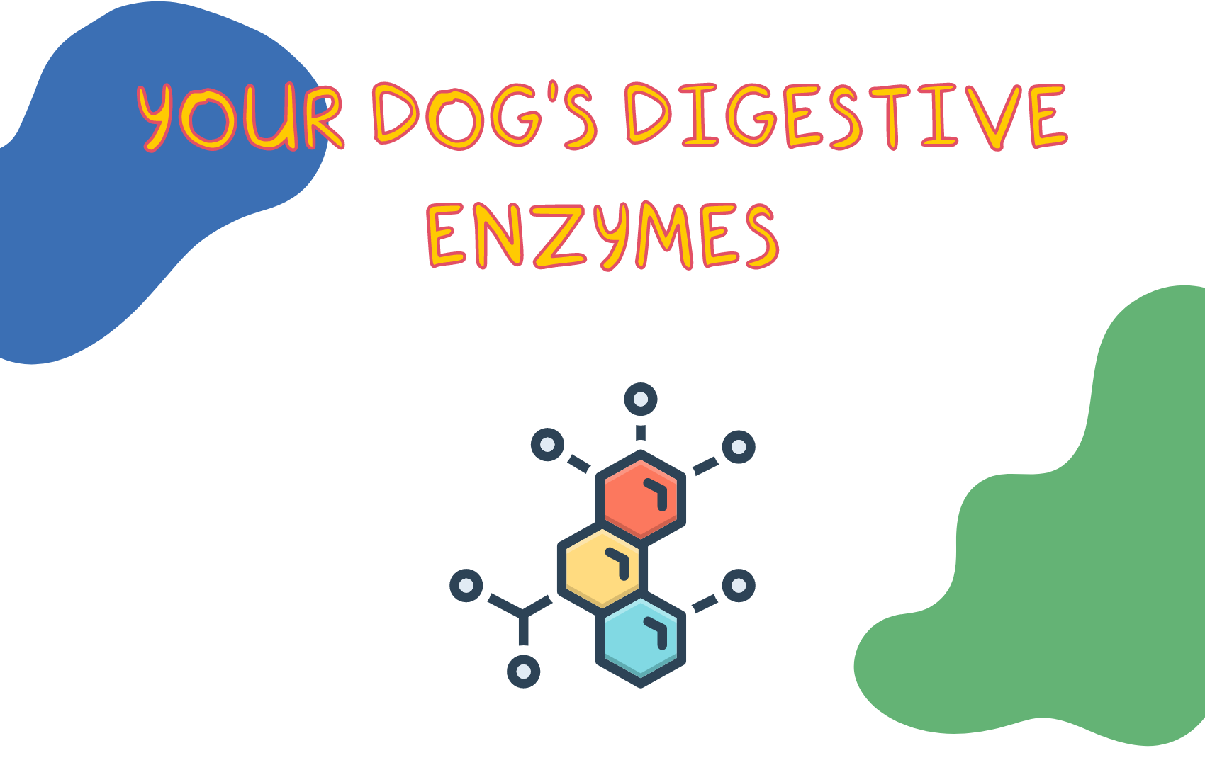 View of Your Dog's Digestive Enzymes