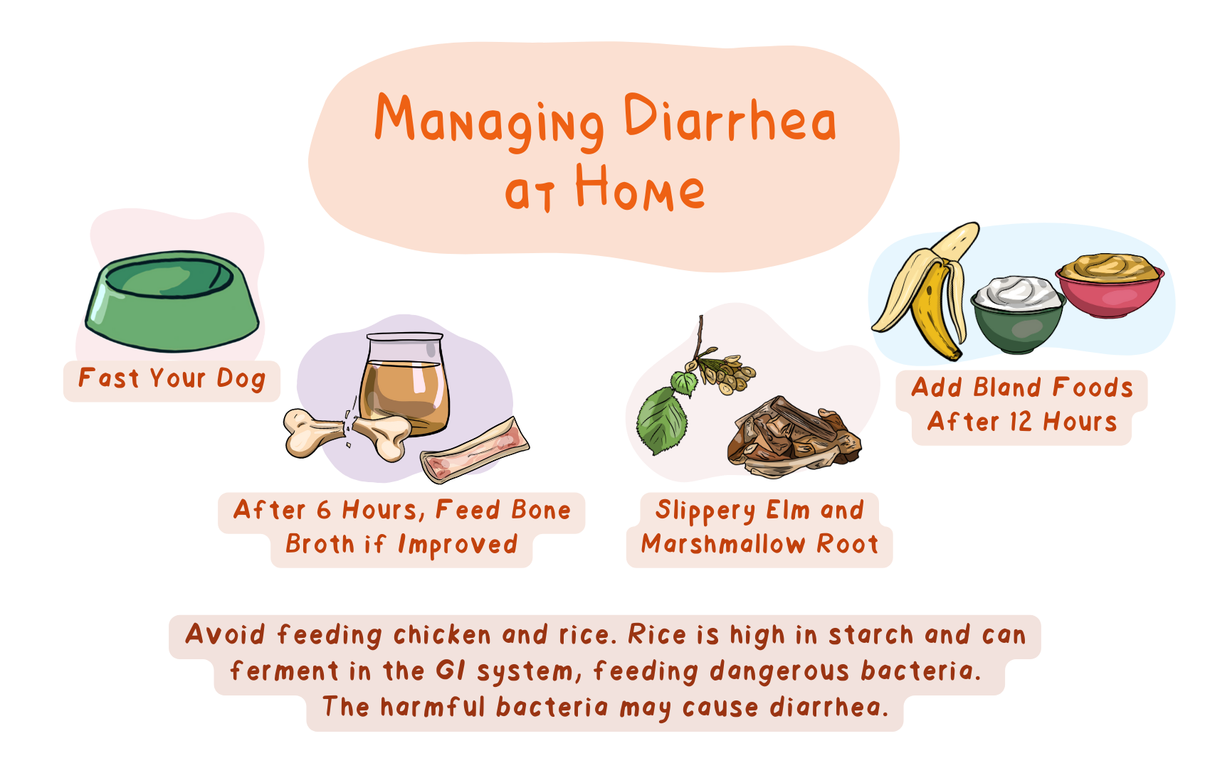 The bland diet that works