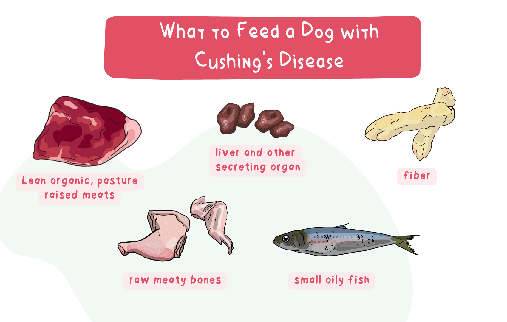 What to Feed a Dog with Cushing's Disease