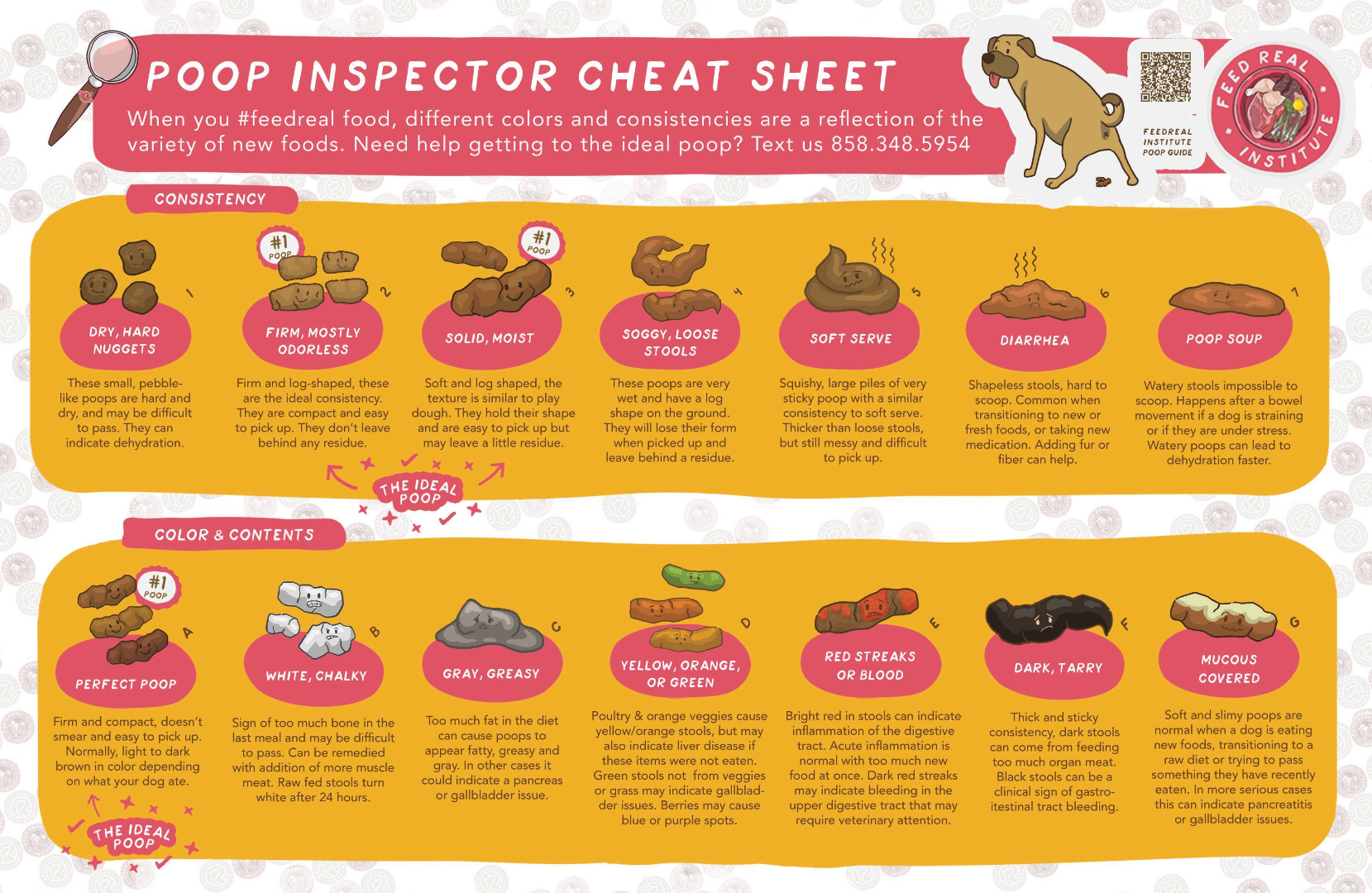 What food makes dogs clearance poop