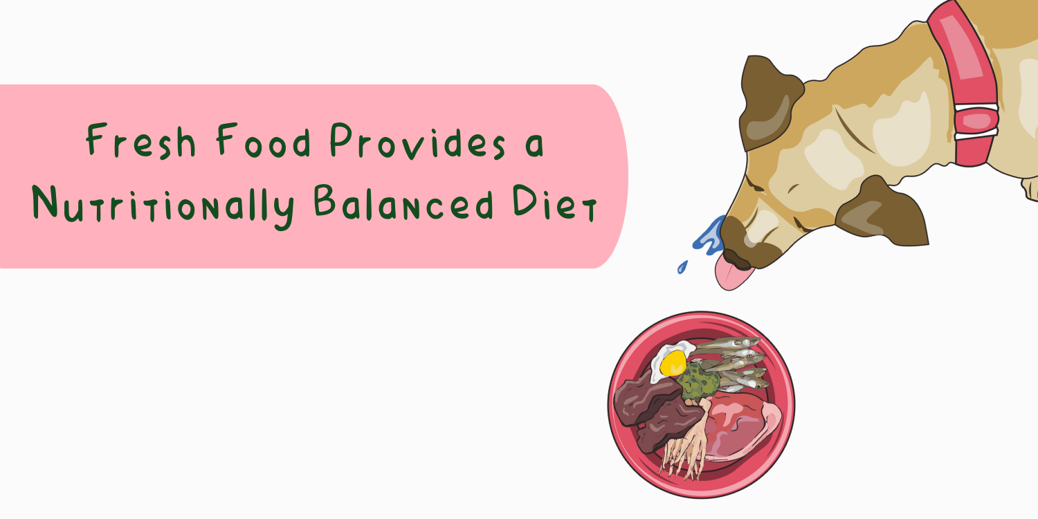 View of THE SCIENCE BEHIND FRESH DOG FOOD