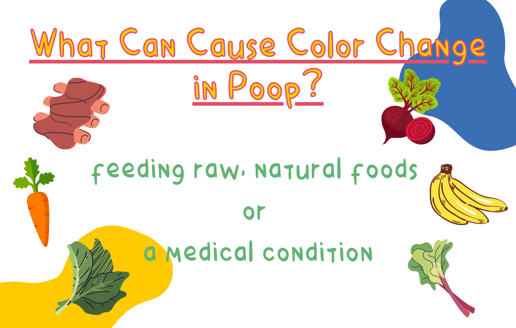 a Poop Inspectormonitoring your dog's health by examining his poop!