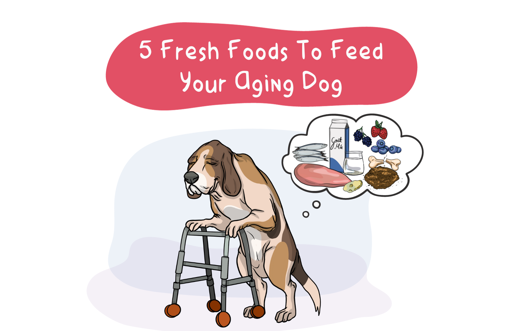 5 Fresh Foods to Feed Your Aging Dog