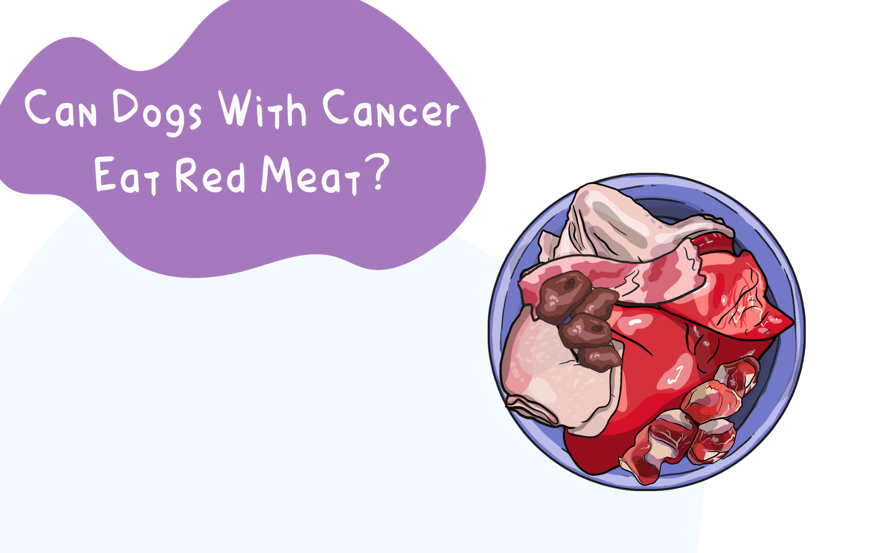 Can Dogs With Cancer Eat Red Meat?