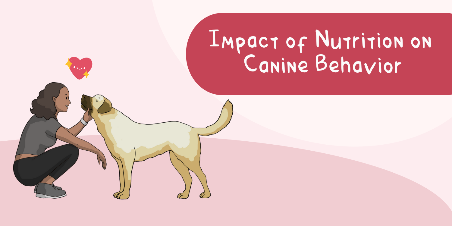 A closer look at Cut Honors Dog Food Phytosterols And Brain