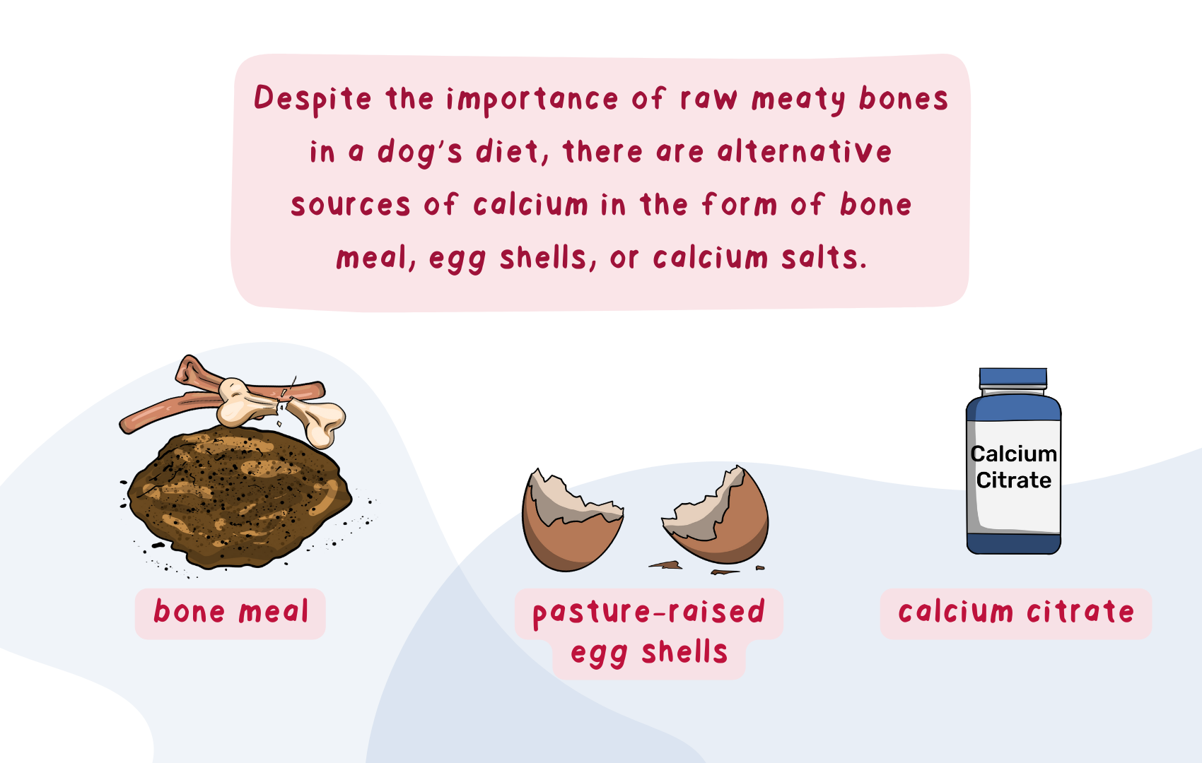 Alternatives to Bones for the Raw Fed Dog