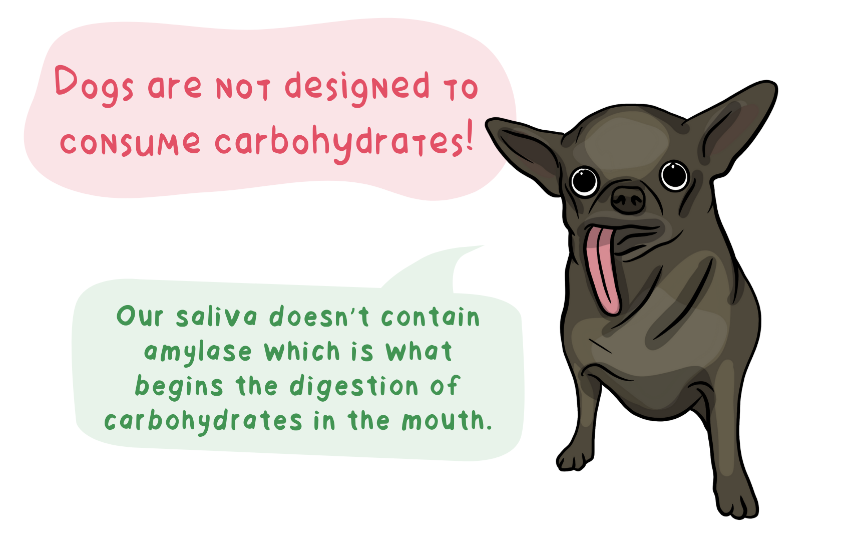 do-dogs-need-carbs-for-survival
