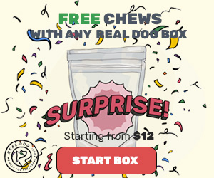Real Dog Box — Free Chews for your dog!