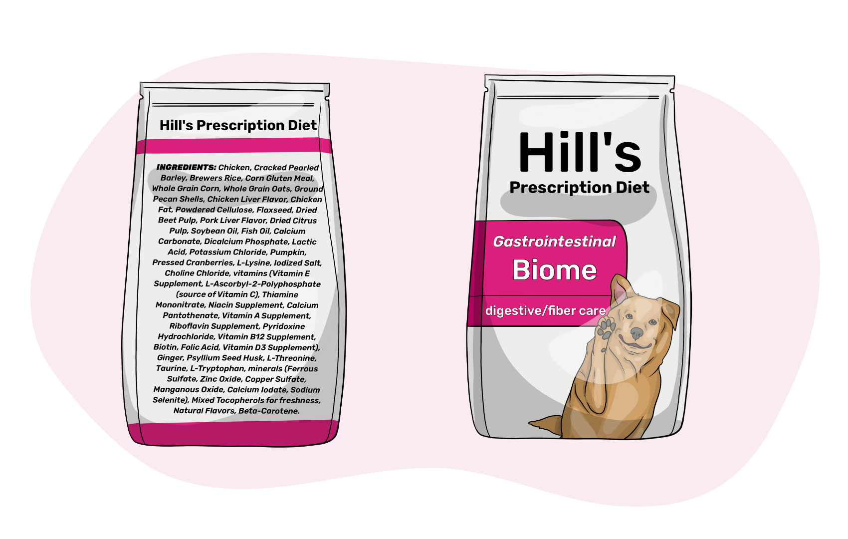 What are Prescription Diets for Dogs?