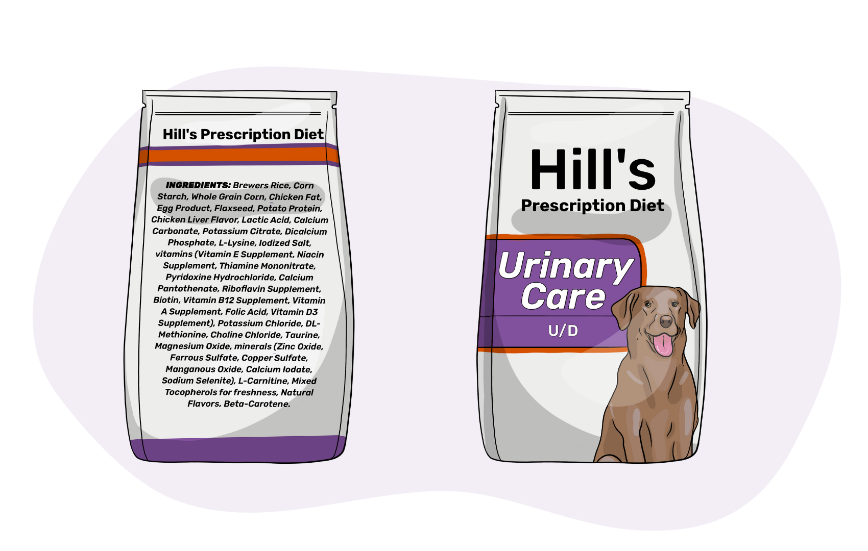 What are Prescription Diets for Dogs?