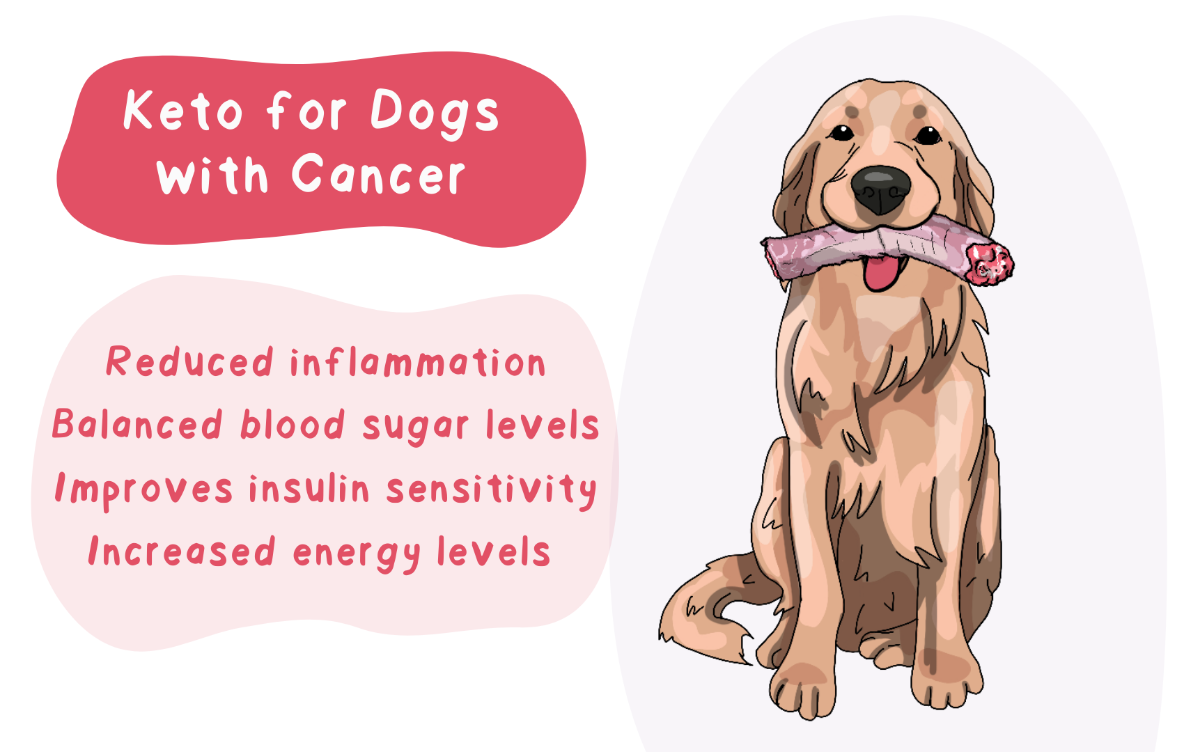 Ketogenic Diet for Dogs with Cancer